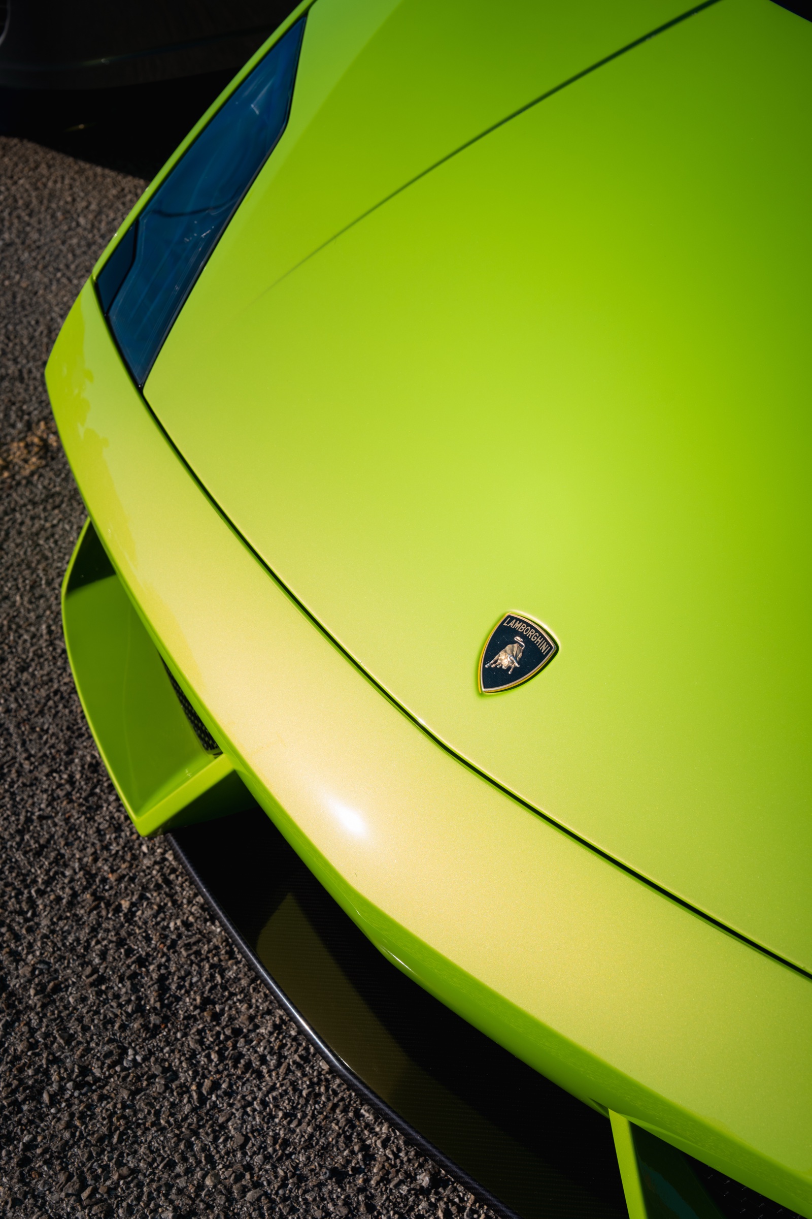 Lamborghini hood detail