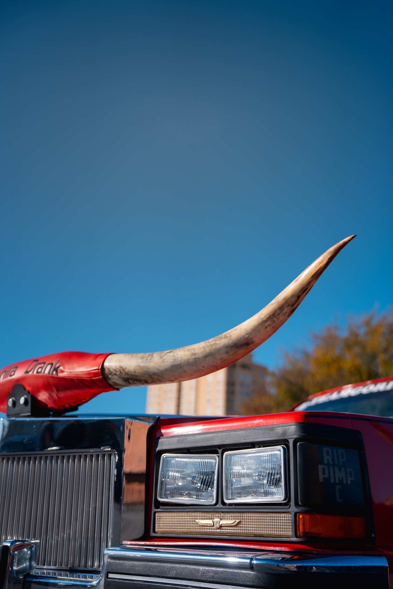 Texas longhorn hood ornament